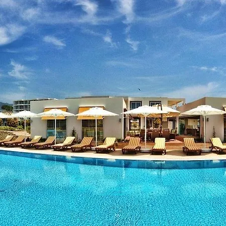 Maxima Paradise 오즈데르