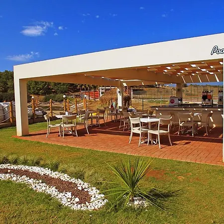 Maxima Paradise 3* 오즈데르